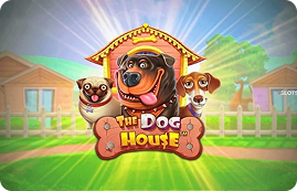 Dog House